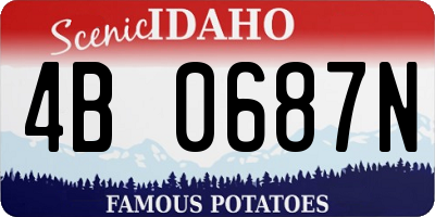 ID license plate 4B0687N