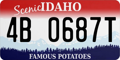 ID license plate 4B0687T