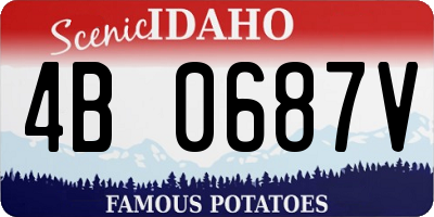 ID license plate 4B0687V