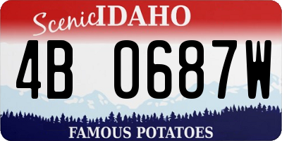 ID license plate 4B0687W