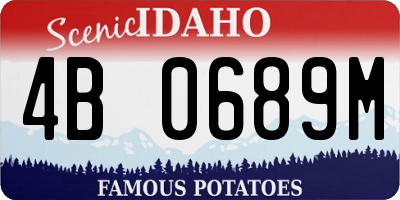 ID license plate 4B0689M