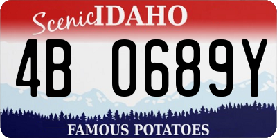 ID license plate 4B0689Y