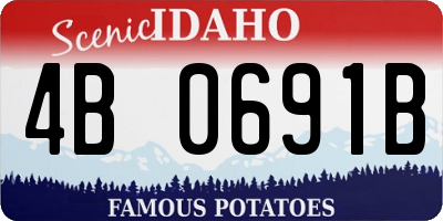ID license plate 4B0691B