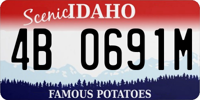 ID license plate 4B0691M