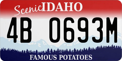 ID license plate 4B0693M