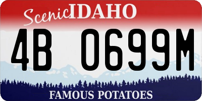 ID license plate 4B0699M