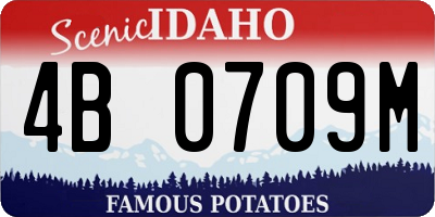 ID license plate 4B0709M