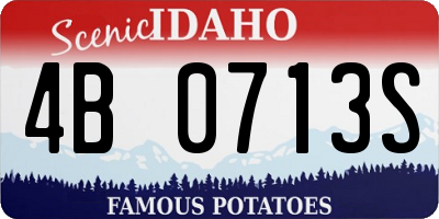 ID license plate 4B0713S