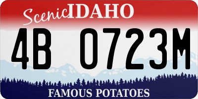 ID license plate 4B0723M