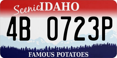 ID license plate 4B0723P
