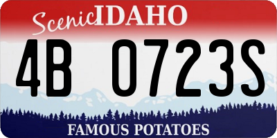 ID license plate 4B0723S