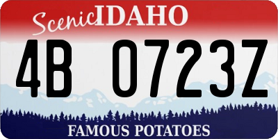 ID license plate 4B0723Z