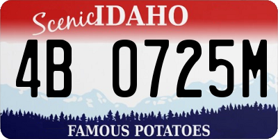 ID license plate 4B0725M