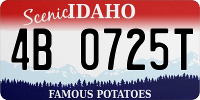 ID license plate 4B0725T
