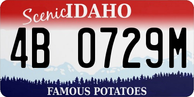 ID license plate 4B0729M