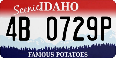 ID license plate 4B0729P
