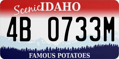 ID license plate 4B0733M