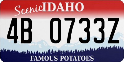 ID license plate 4B0733Z