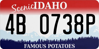 ID license plate 4B0738P