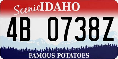 ID license plate 4B0738Z
