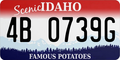ID license plate 4B0739G