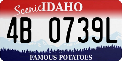 ID license plate 4B0739L