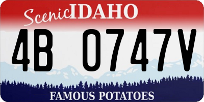 ID license plate 4B0747V