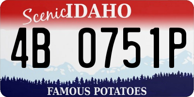 ID license plate 4B0751P