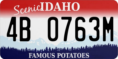 ID license plate 4B0763M