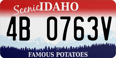 ID license plate 4B0763V