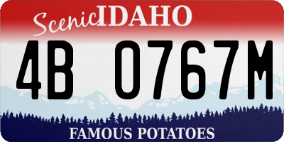 ID license plate 4B0767M
