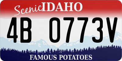 ID license plate 4B0773V