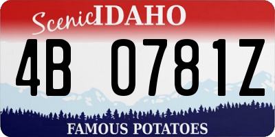 ID license plate 4B0781Z