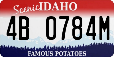 ID license plate 4B0784M