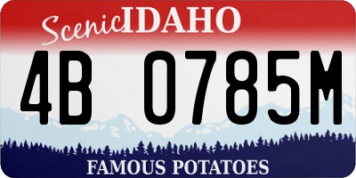 ID license plate 4B0785M