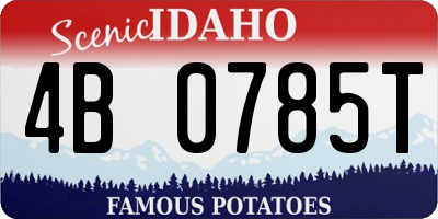 ID license plate 4B0785T