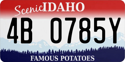 ID license plate 4B0785Y
