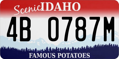 ID license plate 4B0787M