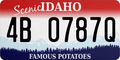 ID license plate 4B0787Q