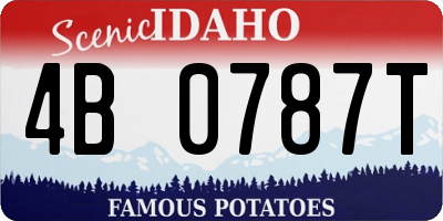 ID license plate 4B0787T