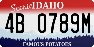 ID license plate 4B0789M