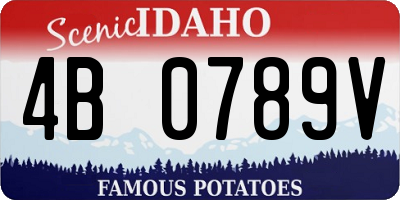 ID license plate 4B0789V