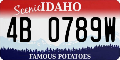 ID license plate 4B0789W