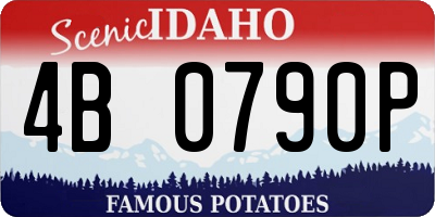 ID license plate 4B0790P