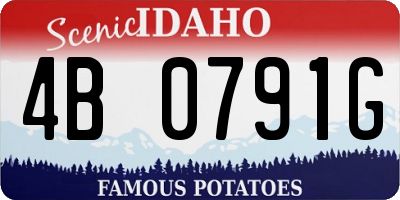 ID license plate 4B0791G