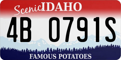 ID license plate 4B0791S