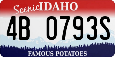 ID license plate 4B0793S
