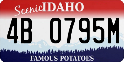ID license plate 4B0795M