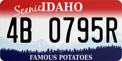 ID license plate 4B0795R