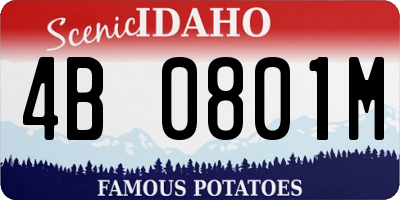 ID license plate 4B0801M